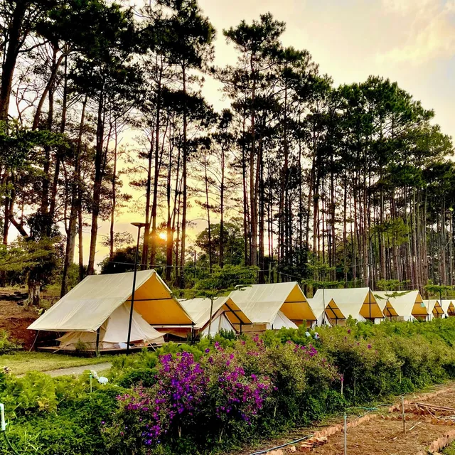 Itrek.vn: Các tour trekking gần TP.HCM nên tham khảo