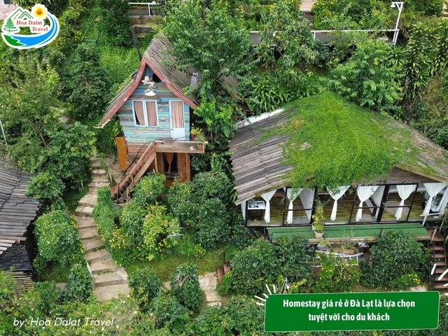 homestay-gia-re-da-lat-1