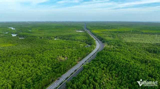 Con ng Rng Sc vo Cn Gi