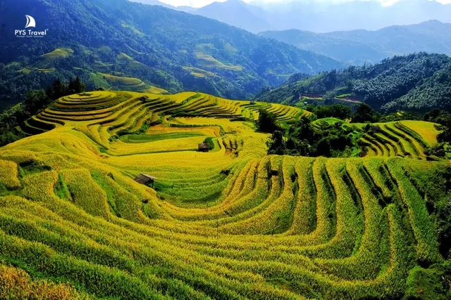 Cung ng Hong Su Ph ma la