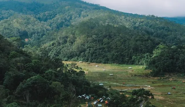 anh-mo-ta