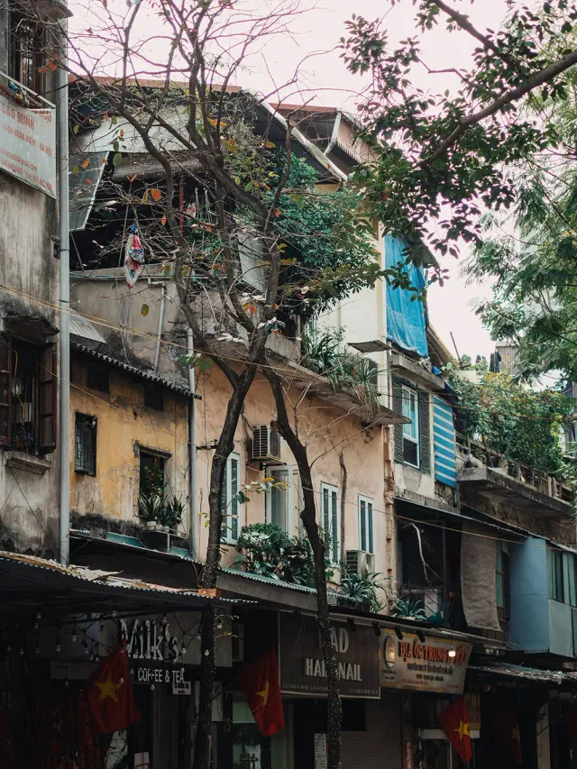 pho-co-ha-noi