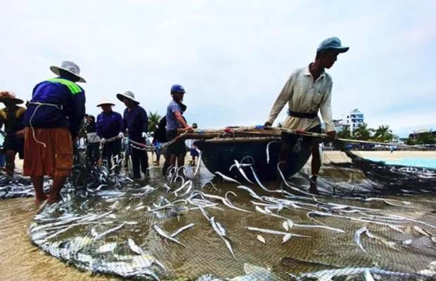Khám phá các khu chợ địa phương Đà Nẵng: Ẩm thực, mua sắm và trải nghiệm văn hóa