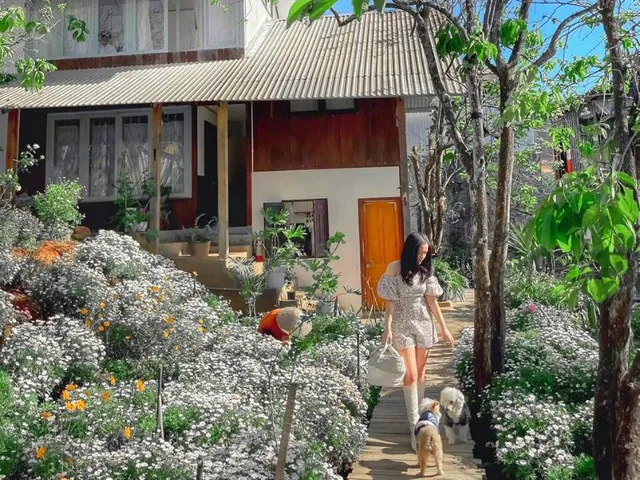 13 homestay Đà Lạt cho người thích thư giãn và sống chậm