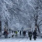 Kinh nghiệm du lịch Mỹ mùa đông: chuẩn bị gì và đi đâu