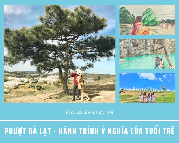 Kinh nghiệm phượt Đà Lạt tự túc từ A đến Z cho người mới