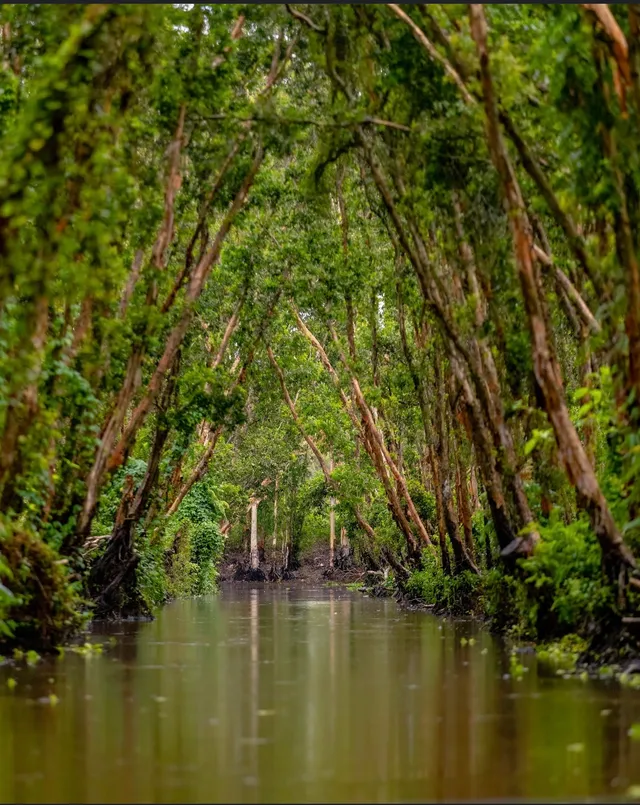 du-lch-min-ty-ivivu1