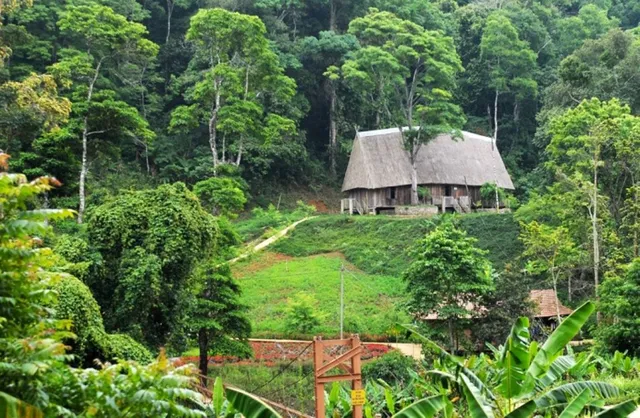 rung-thong-mang-den-hinh-anh-da-lat-thu-nho-trong-long-kon-tum-1658420598