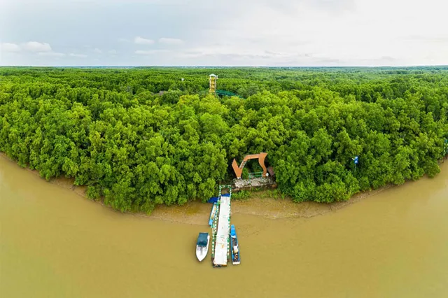Tour Cần Giờ trong ngày: lịch trình khám phá Rừng Sác