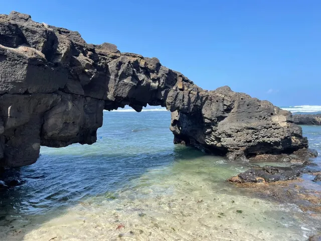 Rau cúm Lý Sơn: Hướng dẫn chọn mua, bảo quản và nấu nướng đặc sản biển hấp dẫn