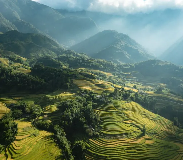 Du lịch Sapa tháng 8 2026: kinh nghiệm săn mây, tránh mưa
