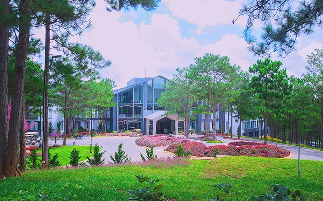 Bỏ túi cách diệt rệp giường cho dân du lịch