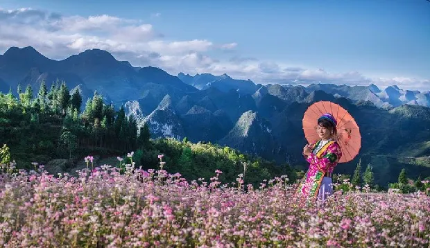 canh-dep-du-lich-Ha-Giang