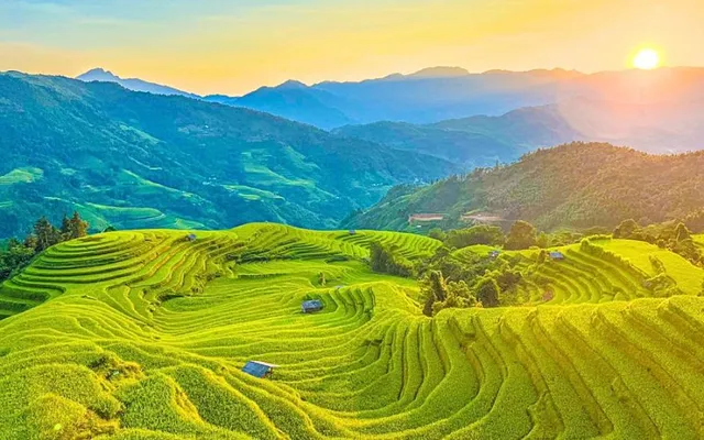 mua-ruong-bac-thang-xanh-muot-canh-sac-song-dong
