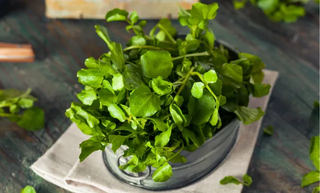 Phân biệt 15 loại rau cải phổ biến cho người mới đi chợ