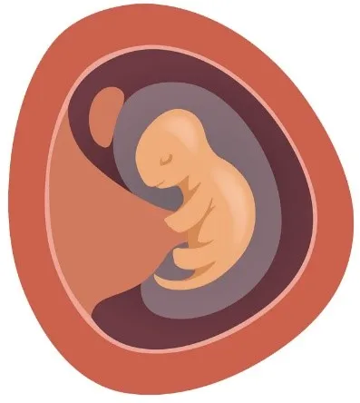 Dinh dưỡng thai kỳ: Bổ sung thế nào cho hợp lý?