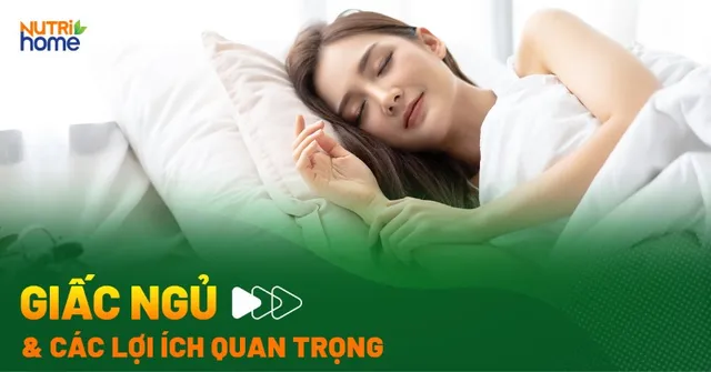 Khám phá các giai đoạn giấc ngủ và bí quyết để ngủ sâu