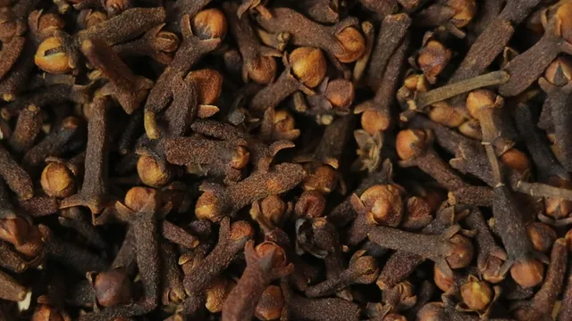 Đinh hương là gì? Công dụng và cách dùng an toàn