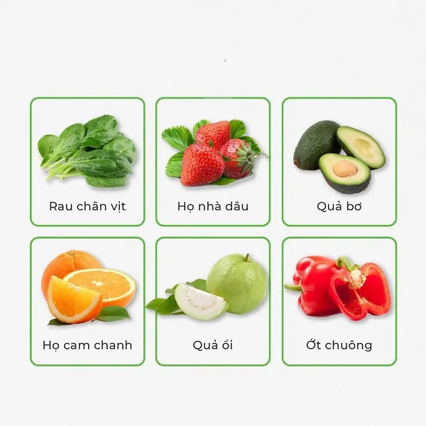 6 thực phẩm tăng sinh collagen tự nhiên nên ăn mỗi ngày
