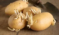 Góc nhìn sức khỏe gia đình: phòng bệnh và chăm sóc