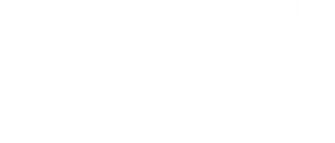 Vector