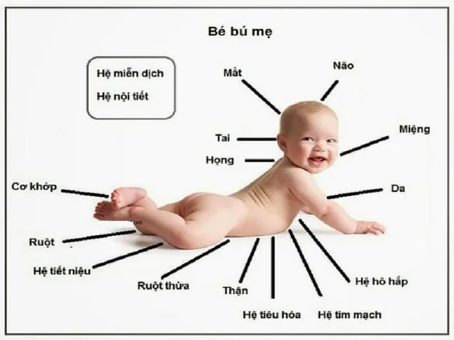 Có đúng nuôi trẻ sơ sinh bằng sữa mẹ là tốt nhất?