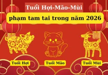 sinh-con-2026-phong-thuy