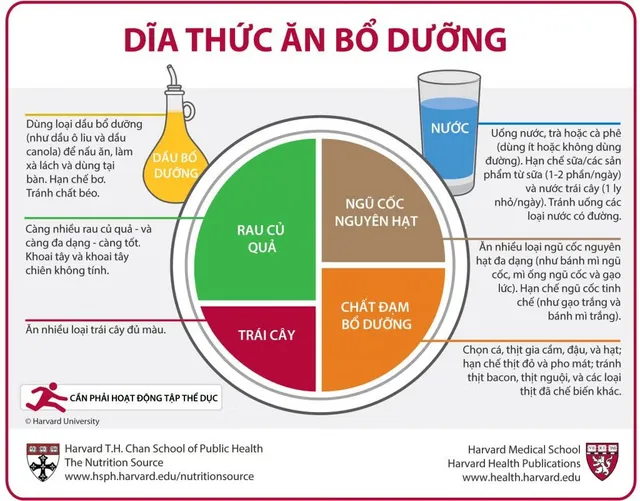 Vietnamese_HEP_Sept2018-1024x801