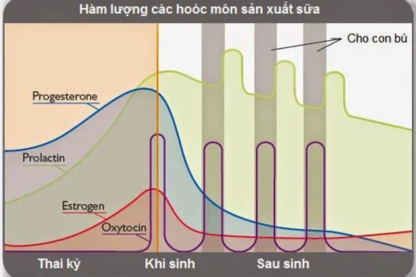Điểm danh các món ăn giúp mẹ có nhiều sữa