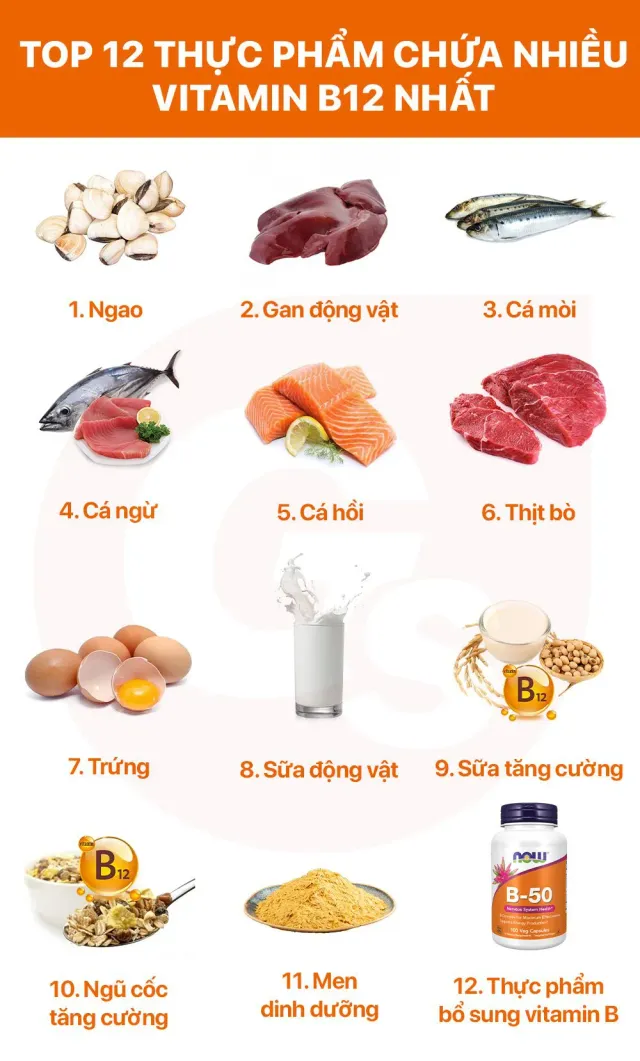 6 thực phẩm giàu vitamin B12 giúp bổ sung dễ hơn mỗi ngày