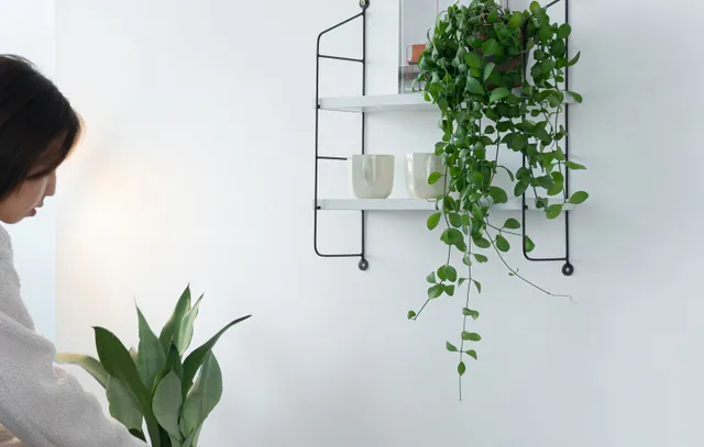 Thiết kế không gian sống cân bằng và thư thái hơn