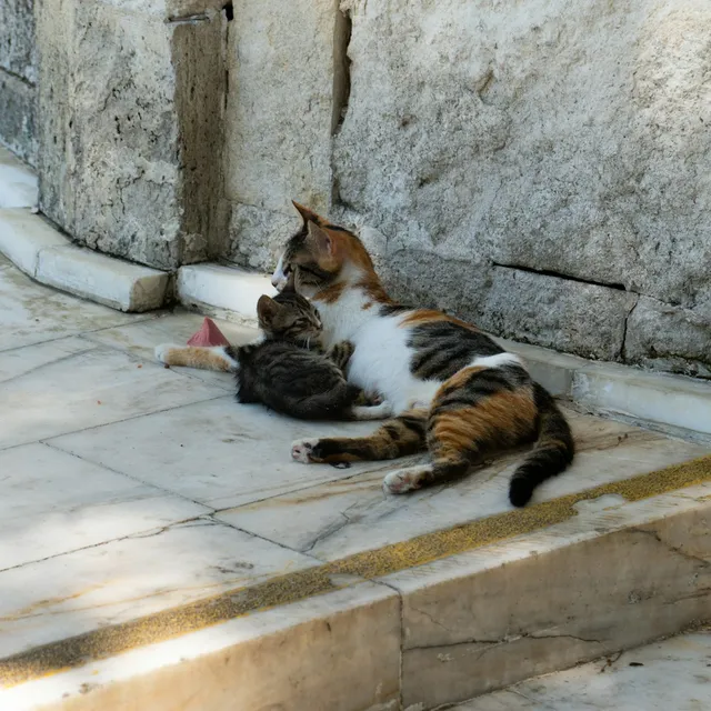 Mẹ bỉm sữa và bé sơ sinh