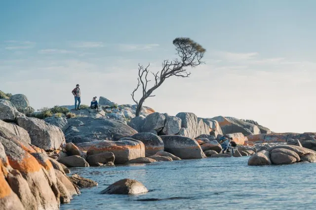 tasmania-study-abroad