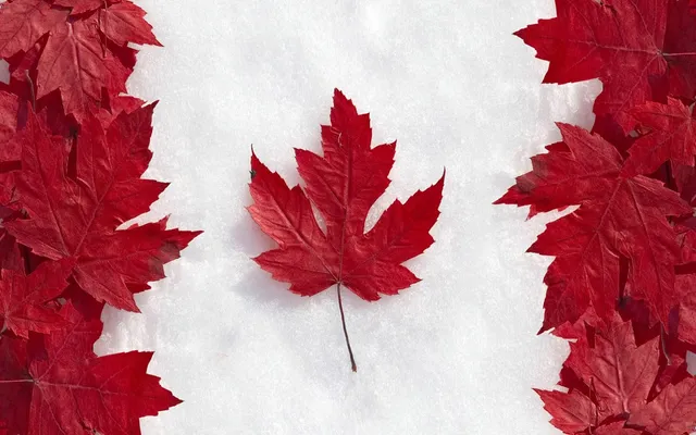 banner-soc-van-hoa-canada