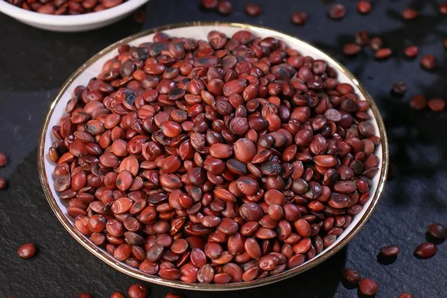 Dạy trẻ về an toàn mạng: 5 phương pháp cha mẹ nên biết