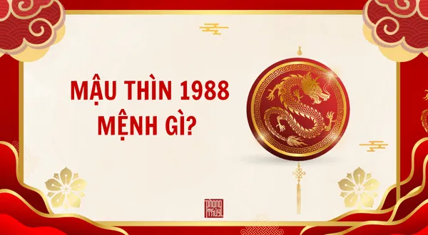 Tuổi Mậu Thìn 1988 hợp màu gì và phong thủy đón tài lộc 2026