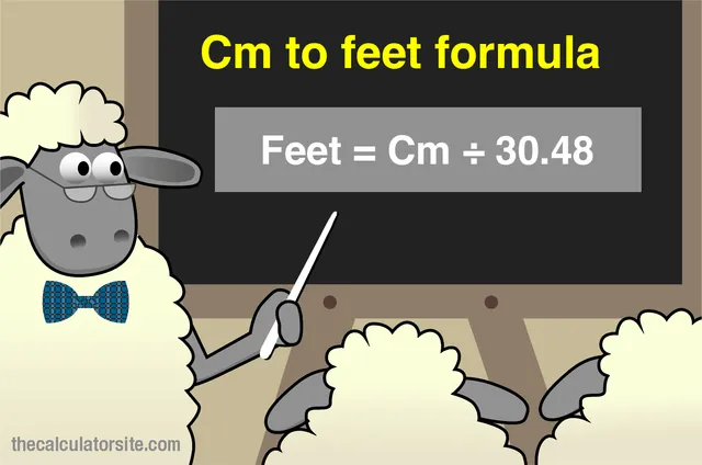 Đổi cm sang feet khi đo sân khấu và backdrop đám cưới