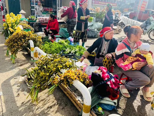 Kinh nghiệm đi chợ phiên Tây Bắc 2026: Săn nấm quý, mật rừng
