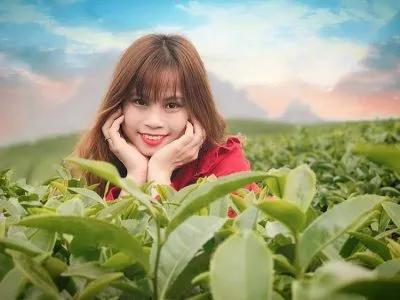 Bài học từ dự án thiết kế bộ nhận diện Điện Tây Bắc