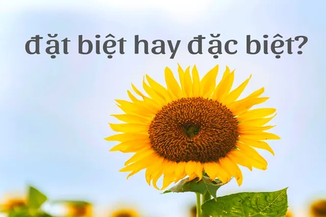 Cách phân biệt đặt biệt hay đặc biệt đúng chính tả