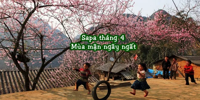 Du lịch Sapa tháng 4 có gì hấp dẫn? Gợi ý điểm đến cực hot