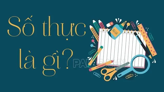 Số thực là gì? Cách nhận biết và ví dụ dễ hiểu