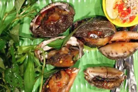 Ốc trinh nữ là gì? Đặc sản biển lạ miệng, giòn ngọt