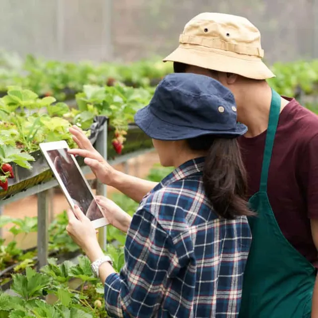 Hướng dẫn cách chọn muối nguyên liệu sạch an toàn sức khỏe