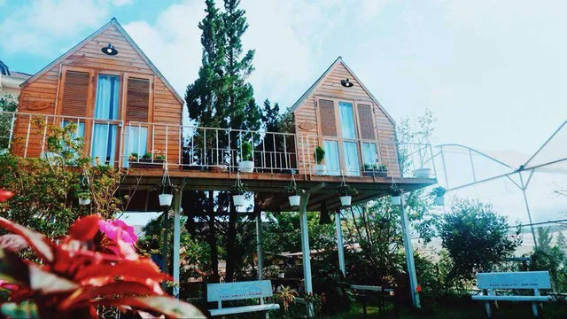 in-the-pines-homestay-dalat-1.jpg