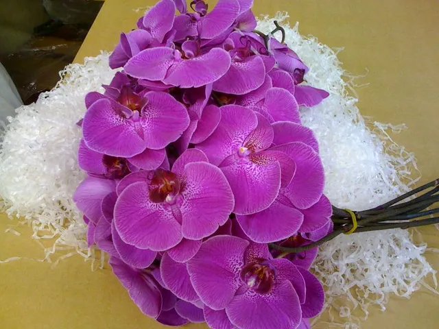 5 sắc  tím để lên ý tưởng khi tổ chức tiệc cưới