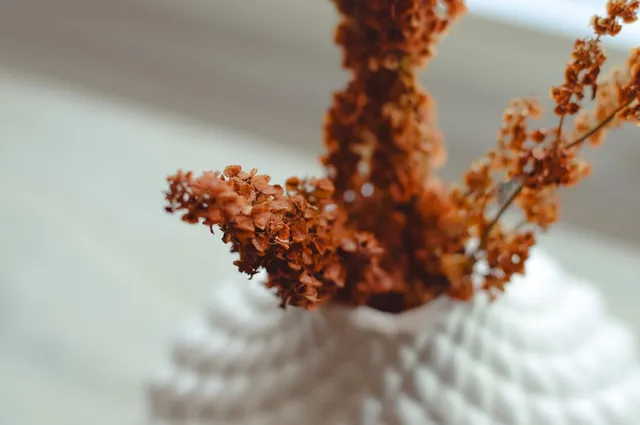 Biệt thự nhà vườn - Không gian xanh ngay trong ngôi nhà 1 tầng 200m2