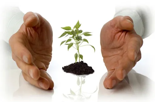 Cách tận dụng ưu điểm của app quản lý chi tiêu để tăng cường khả năng quản lý tài chính