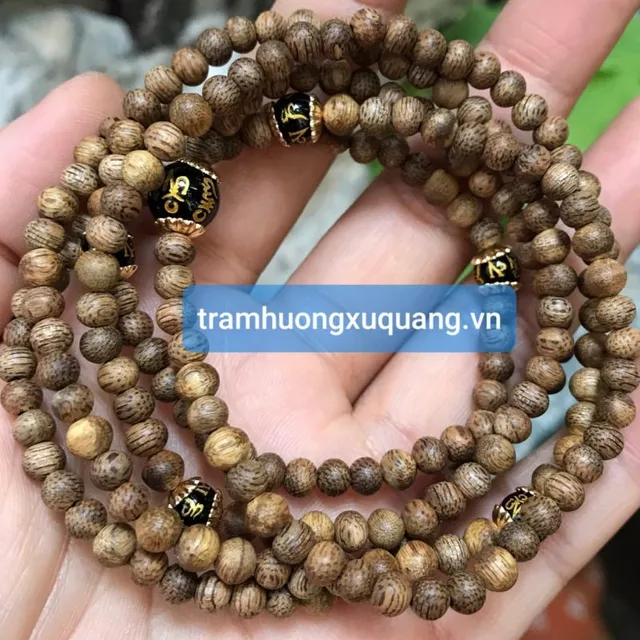 Tây Tứ Mệnh là gì? Cách ứng dụng phong thủy nhà ở đúng