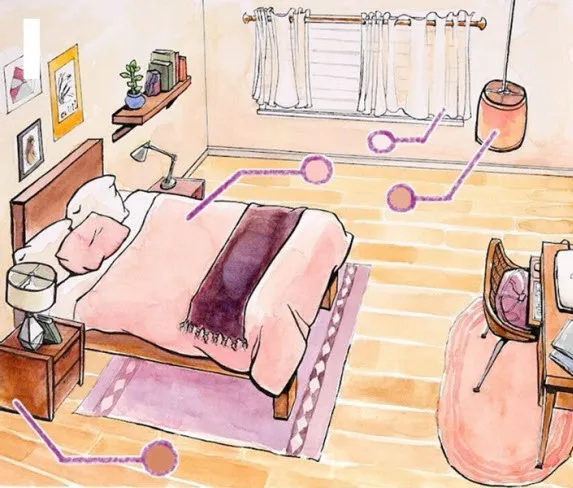 Cây trừ âm khí cho nhà ở: Cách chọn và đặt đúng chỗ